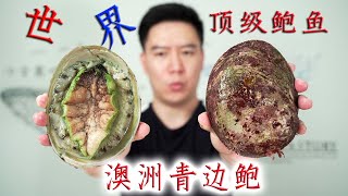 试吃330一斤的稀有澳洲青边鲍，顶级鲍鱼刺身，却吃出了寄生虫【小文哥吃吃吃】