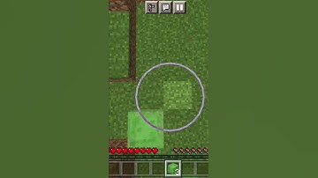 how to do mlg from Slime block for world height limit 😎 #shots