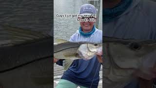 it was on a 3in jyg mullet paddle tail #fypシ #fishing #snookfishing #justfishing #letsfish #fishhard