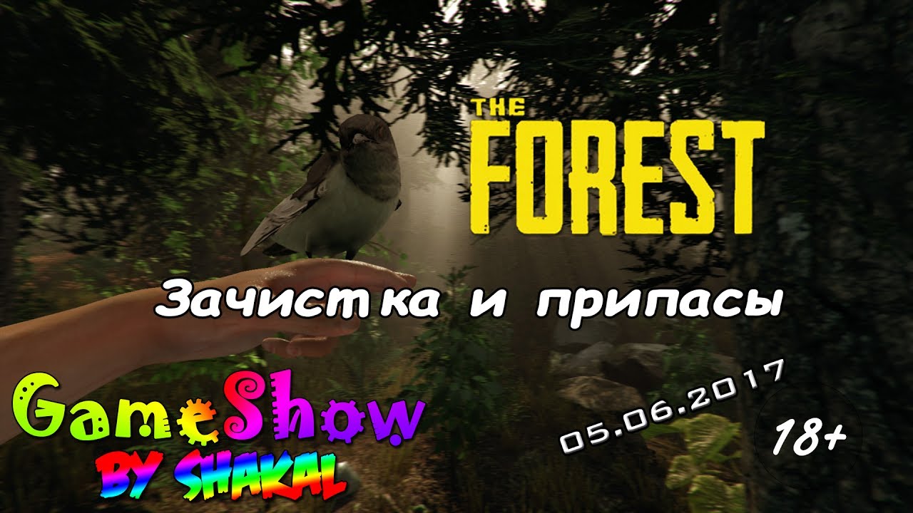 [SGameShow | Let's Play] The Forest: Зачистка и припасы. (18+)