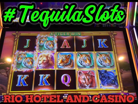 Void memes 5: Incendio del casino Royale en Monterrey #void #voidmemes #shorts #voidmemesenespañol