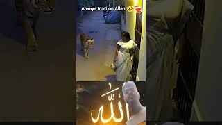 allowys  trust Allah#trendingshorts
