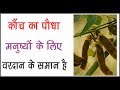 Jyotish tantra - rare tantra articles ज्योतिष तंत्र - दुर्लभ तंत्र सामग्री