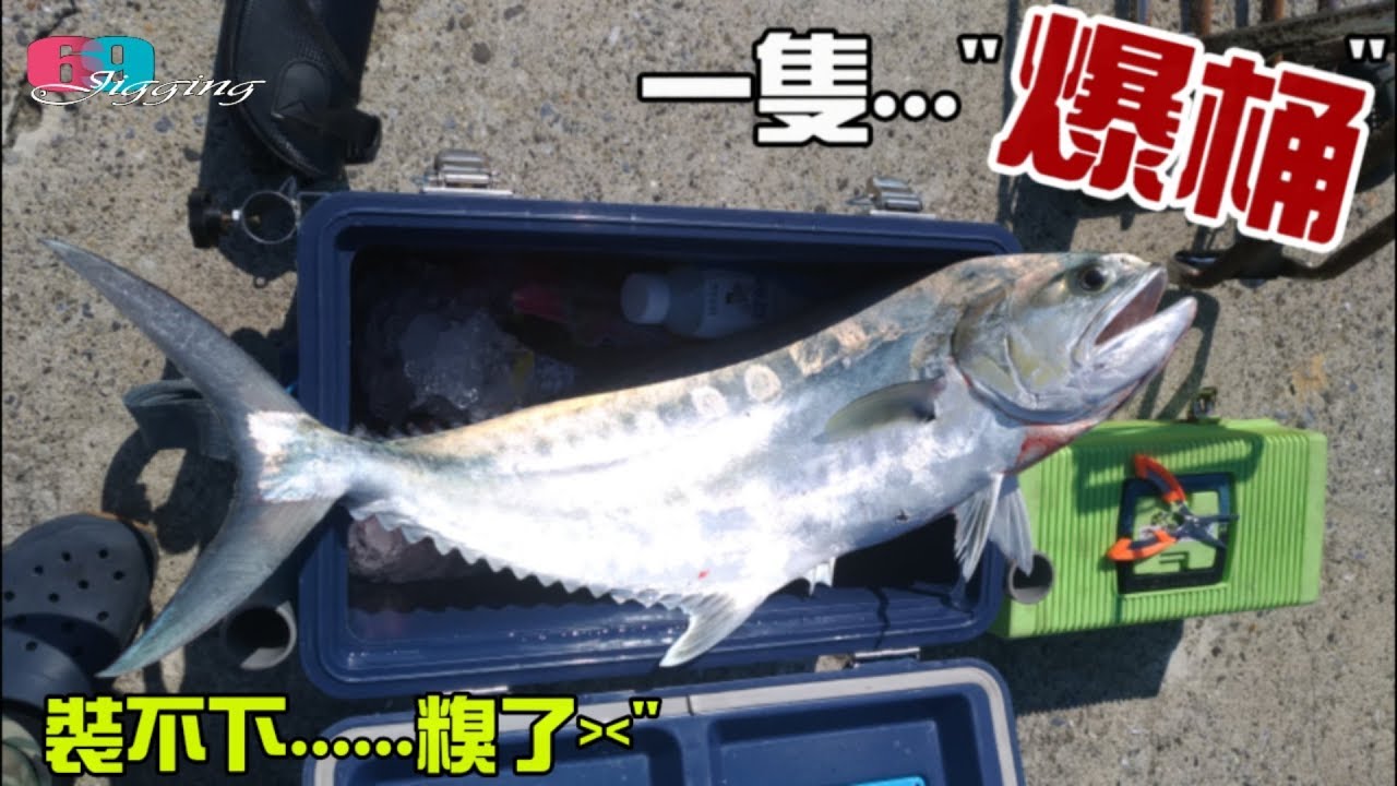 [69jigging] 一隻就爆筒！還起6隻...會沒朋友啦!-飛扁,土魠,紅甘大三元篇... 2018/09/台灣69J釣魚俱樂部(69J Fishing Club)