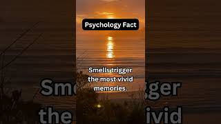 Memory Fact ?❤️ love facts motivation knowledge mindset amazing fun lifestyle