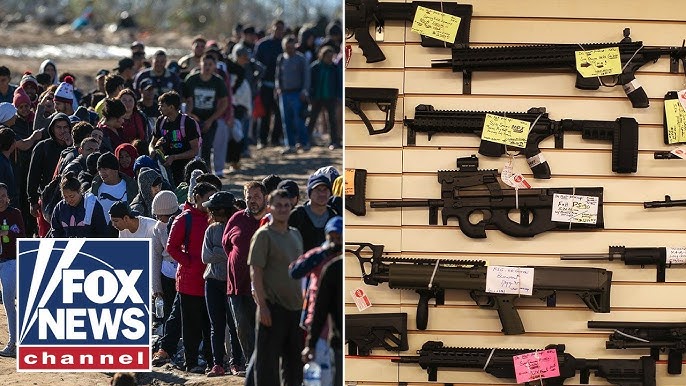 Obama Era Judge Slammed For Ruling Illegal Immigrants Have Gun Rights Nuts