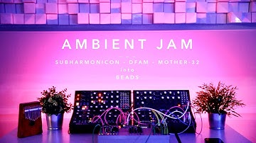 Ambient Jam with Moog Subharmonicon, DFAM, Mother-32 into Beads