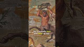 Did You Notice This About Centaurs In Harry Potter