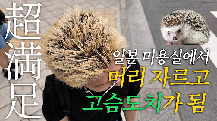 🇯🇵일본 일상 / 고슴도치 머리 됐다고요…? 일본 미용실 VLOG / 日本の美容室に初めて行った人の動画