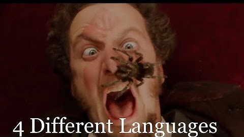Home Alone (1990) Marv screams in 4 different languages