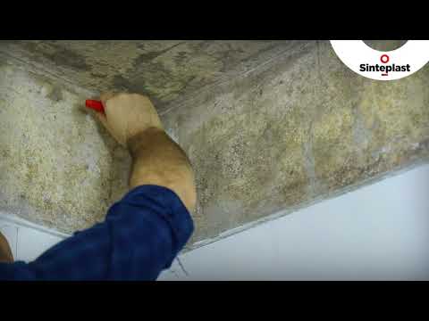 🎬 Video con opiniones sobre Pinturas Antihumedad Bricodepot