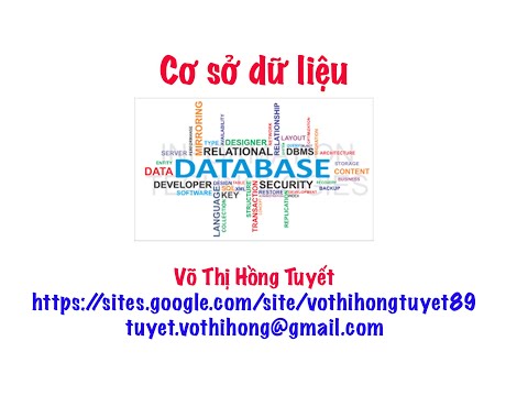 CSDL_Tổng quan về