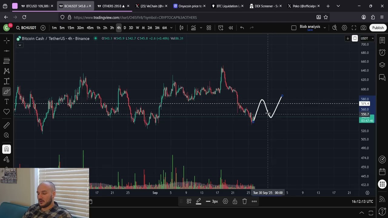 BCH Bitcoin Cash Price Prediction 26th Of September