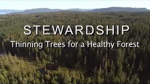Sealaska Stewardship:  Thinning Trees for a Healthy Forest