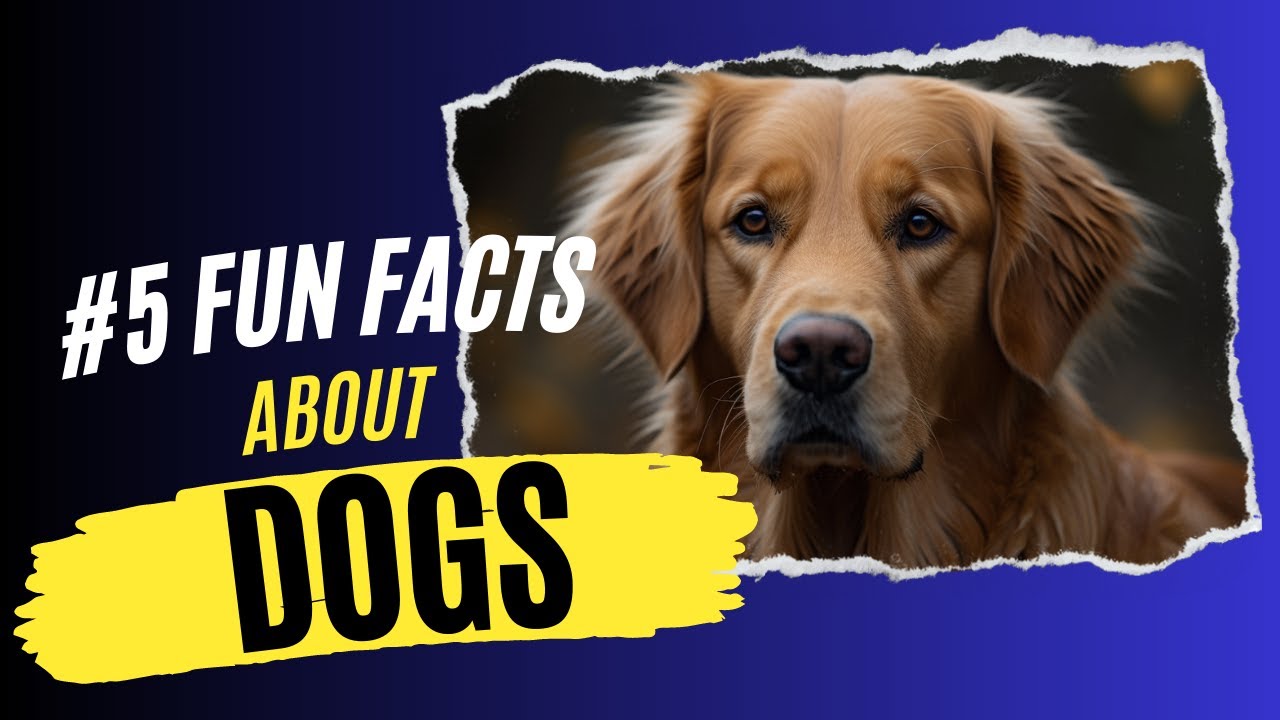 5 Interesting Fun facts about Dogs YouTube