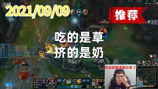 东北大鹌鹑0909P1木木(翻盘推荐):吃的是草,挤的是奶