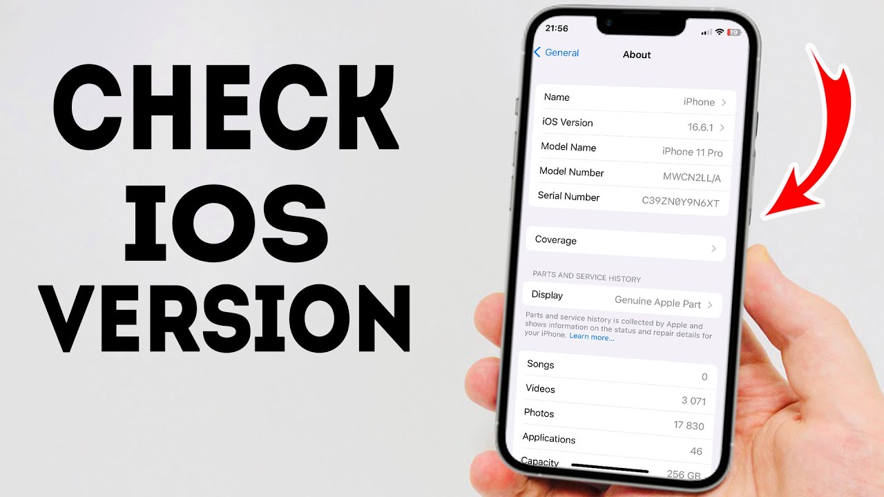 How To Check iOS Version on iPhone - Full Guide - YouTube