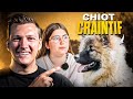 Chiot craintif et sans rappel  comment le rassurer  l jour 28 tour de france educ dog