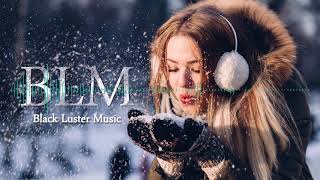 BRAUNFUFEL - Winter Vibes (No Copyright Music) [BLM]