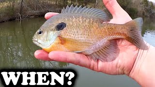 When is the Best Time to Go Fishing? How to Catch Big Bluegill (Spring)