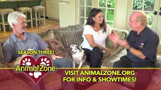 AnimalZone Season 3 Promo Spot by Animal Zone 94 views 4 years ago 31 seconds