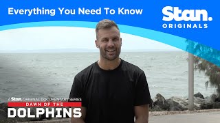 Everything You Need to Know | Dawn Of The Dolphins | A Stan Original Documentary.