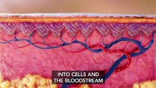 Sunscreen Scientific Animation (MOA) - Infuse Medical screenshot 3