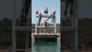 2026 - Msü Başvuruları 24 Nisan 2026 Tarihinde Sona Erecek