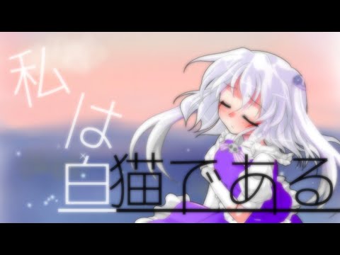 私は白猫である