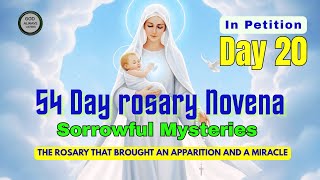 Day 20 - 54-Day Rosary Novena in Petition
