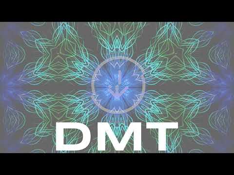Future Fuzz x RI5L - DMT(Original mix)