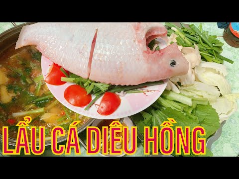 Video LẨU CÁ DIÊU HỒNG NGON NGỌT CHUA CAY | Bia Hơi Quán | - youtube