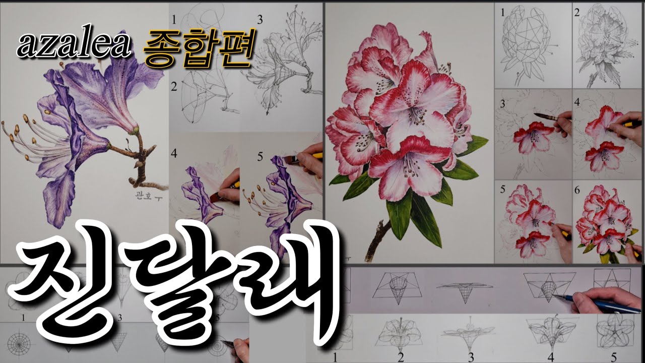 [초보자~ 금손 레벨] 이 한편의 영상으로 “철죽 그리기” 100% 종결됩니다  (29년 강사 꿀팁 공개)