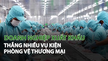 DN Xuất Khẩu thắng nhiều vụ kiện phòng vệ Thương Mại | VTC14