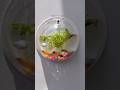 🤩Mini Aquarium Fishtank💥 | #shorts #aquarium #fishtank #gadgets