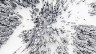 PUTV VISUALS // Aerial Snowshoe Adventure 4K (Source Lake Washington)