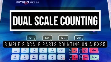 Dual Scale Weigh Counting on the BX25 Weight Indicator