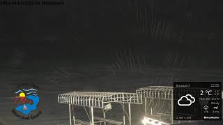 Joussard Live Cam
