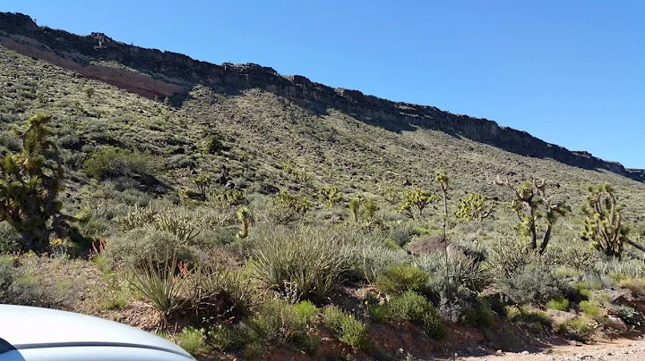 Lime Kiln Canyon Trail