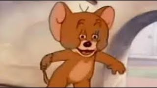 Memes That I Watch During Math Cl When The Teacher Isnt Looking