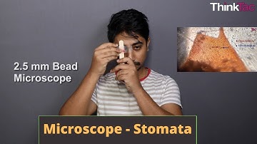 Microscope - Stomata | ThinkTac | DIY Science