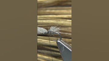 Grey Duster Parachute D H #shorts  #fishing #trout #troutfishing
