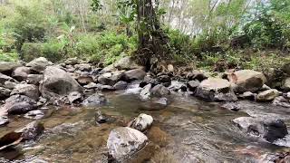 Calming Sound of Turquoise Mountain River. Nature Sounds, Flowing Water,  #sungai #relaksasi #asmr