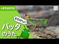【実写版】ジャンプ すごいぞ！バッタのうた