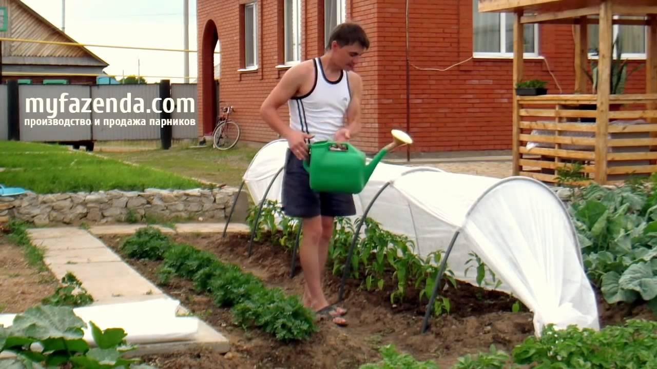 Парник ФАЗЕНДА San09.ru - YouTube