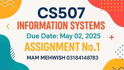 CS507 Assignment 1 Solution | Information Systems | Spring 2025 | Virtual University