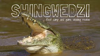 SHINGWEDZI Rest Camp & Game Viewing Review | Kruger National Park