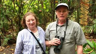 Birds of Honduras by Beaks and Peaks