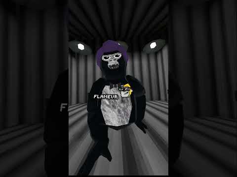 I am back