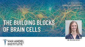 The building blocks of brain cells
